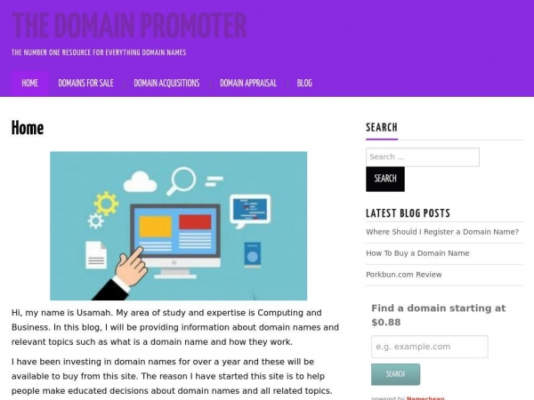 thedomainpromoter.com
